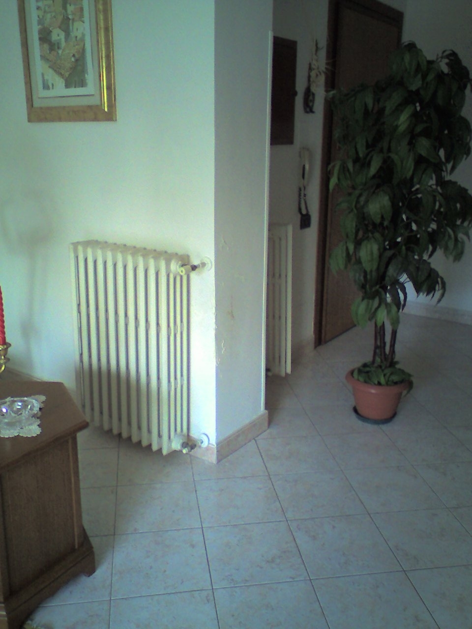 Immagine Visibile