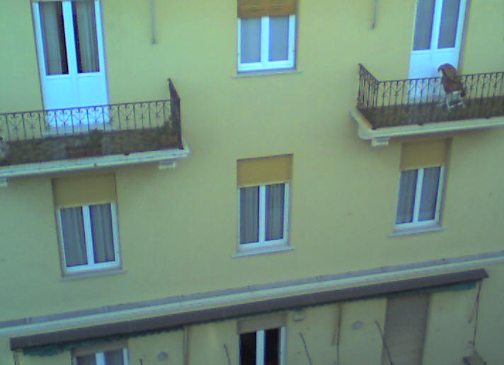 Immagine Visibile